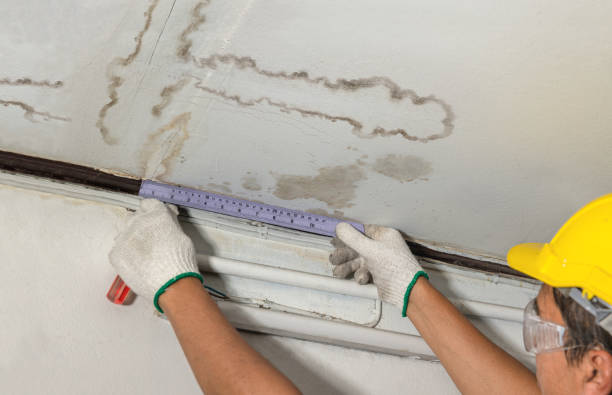 Reliable Water Damage Repair contractor in Ellwood City, PA by Hirex Water Damage